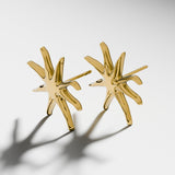 NÁUŠNICE STARFISH STUDS